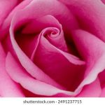 年轻的小姨子 50zd1v