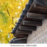 年轻的岳母完整版 x50v1bwp